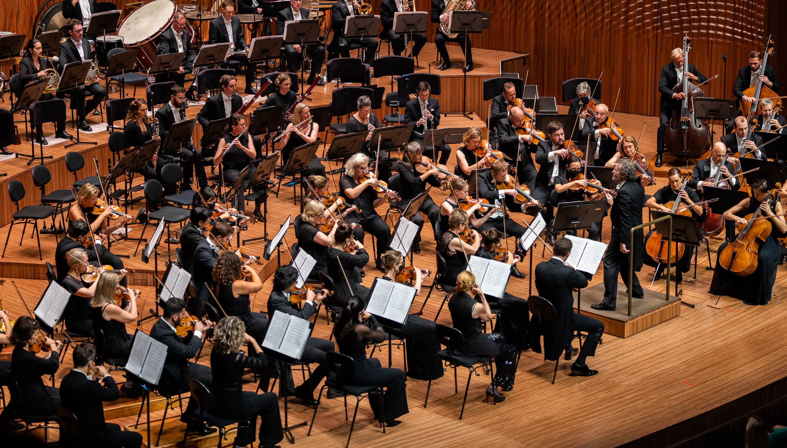 An orchestra is playing. We can see people playing violins, violas, cellos, percussion, brass and woodwind