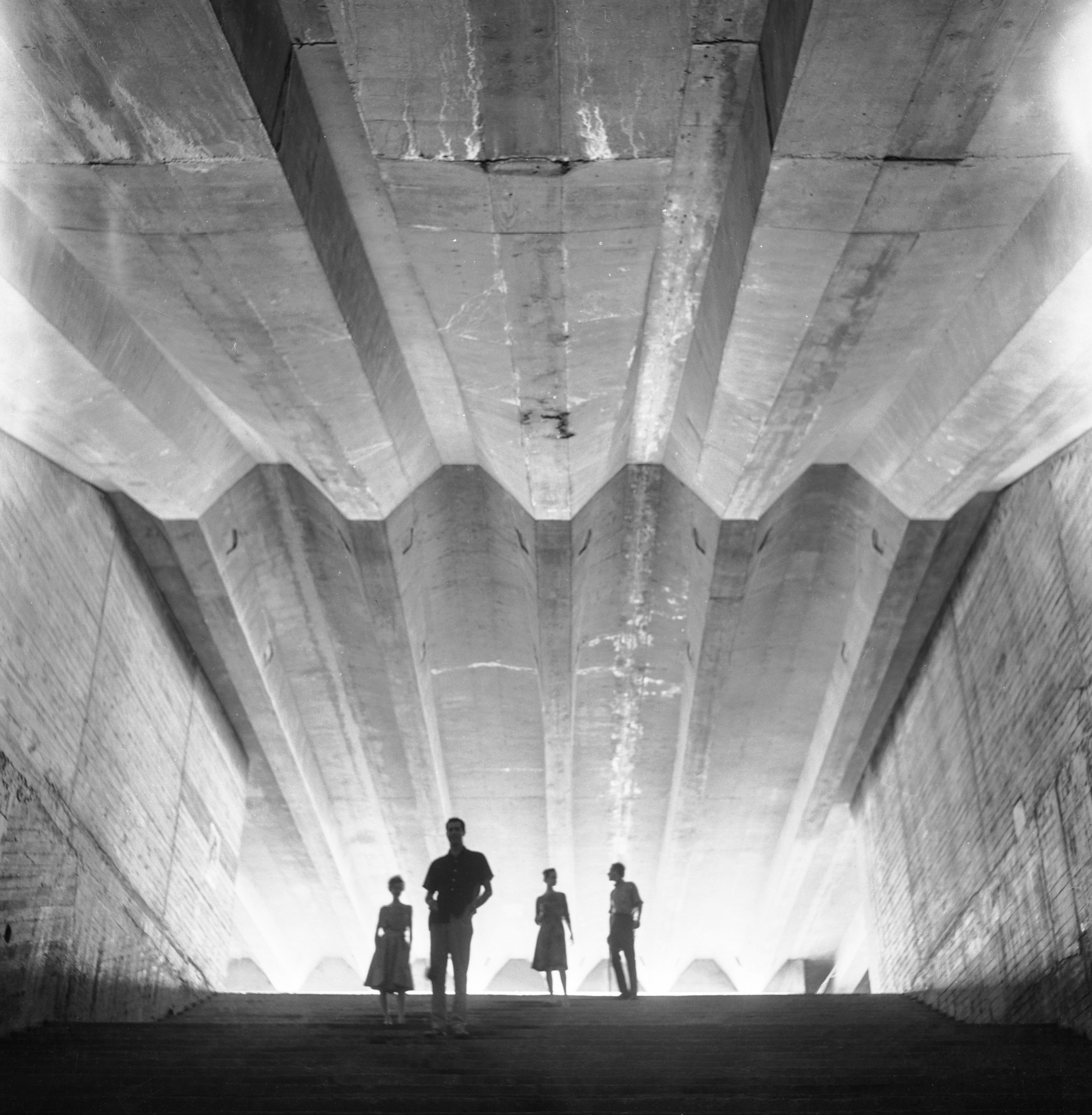 Concrete ceiling architecture of Sydney Opera House.