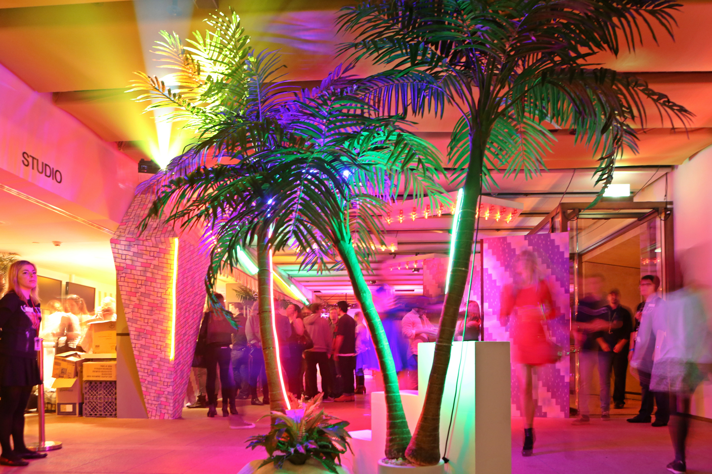 A neon pink lit studio with palm trees.