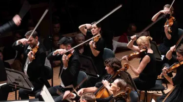 A conductor energetically leads an orchestra of violinists and musicians dressed in black.