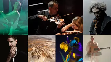 A collage of pictures, featuring a man playing violin, one female dancer in green light, one older white man in shaded light looking at his violin, one Asian man holding an acoustic guitar, one image of a brown-toned river system, a purple, blue and yellow flower, and a man in a suit with his hand on his chin.