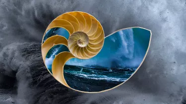 Graphic showing a shell with stormy oceans within superimposed over waves crashing onto shore