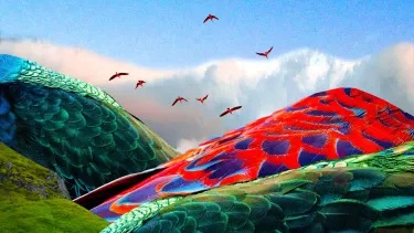 Graphic showing the back of a peacock with red and green feathers with five other peacocks flying overhead