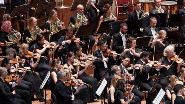 Violin, french horn and clarient players sit in black playing at the Sydney Opera House Concert Hall