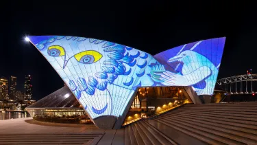 The Sydney Opera House sails at night illuminated with blue and white artwork including an owl and a bird.