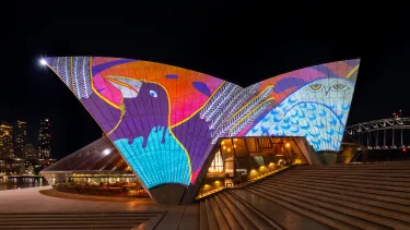 The Sydney Opera House sails at night illuminated with colourful artwork including a magpie and owl.