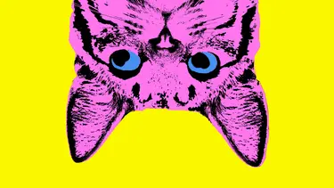 Inverted pink cartoon cat with yellow background