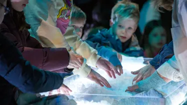 Antarctica-Masterclass