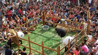 A crowd is gathered around a pen with a grass floor. Inside are three performers in sheep suits.