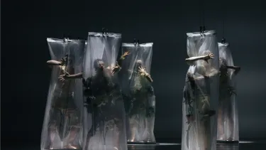 Five dancers draped in silver veils holding bushes.