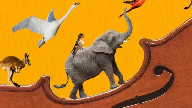 An assortment of animals including an Elephant, Kangaroo, Chicken, and Goose climb up the side of a violin.