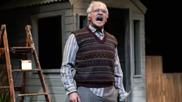 A man stands with his hands at his side yelling passionately. He is in front of a shed and ladder.