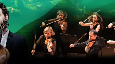 The Australian Chamber Orchestra pictured in front of a green background.