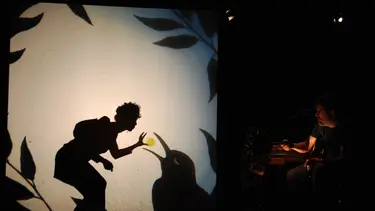 A shadow projection of a silhouette of a person feeding a bird some seed.