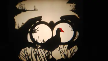 A black bird with a red and yellow beack is seen through the silhouette of binocular lenses.