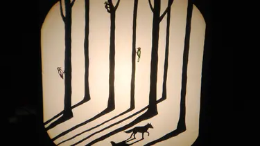 There are several trees casting shadows on a light background. There are birds and a squirrel on the tree branches and a wolf down below.