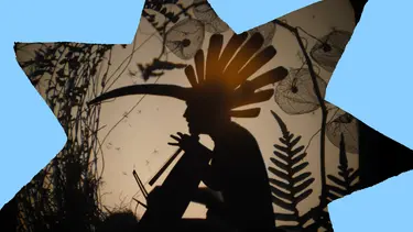 Silhouetted figure with a feathered headdress sits among intricate foliage and seed pods, illuminated by a warm backlight in a shadow-puppet style scene.