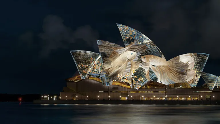 The Sydney Opera House sails are visible with the harbour in the foreground. The sails are illuminated with projected art featuring two fish and other colourful elements.