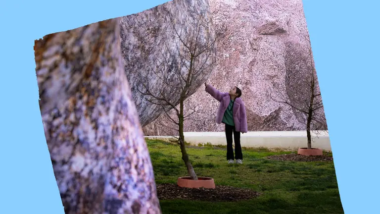 A child in a purple jacket stands in a grassed area looking up at and touching a large inflatable rock structure.