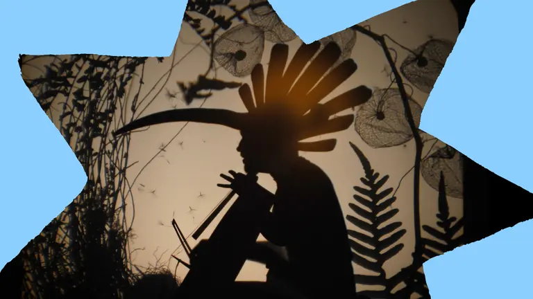 Silhouetted figure with a feathered headdress sits among intricate foliage and seed pods, illuminated by a warm backlight in a shadow-puppet style scene.