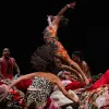 A group of Brazilian dancers, men and women, wear clothes with red and animal print patterns. They are on stage and a female dancer is mid-air as if just thrown by the male dancers.