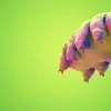 On a bright green background is an animated creature. It is pink and round with eight logs and a round mouth with small teeth.