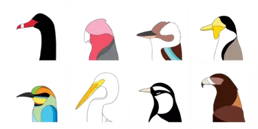 A drawing of eight different colourful birds heads.