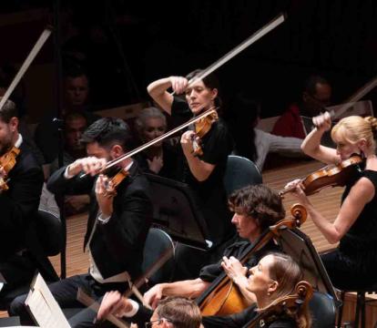 A conductor energetically leads an orchestra of violinists and musicians dressed in black.