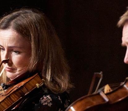 A closeup of two violin players side by side