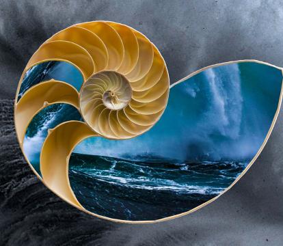 Graphic showing a shell with stormy oceans within superimposed over waves crashing onto shore