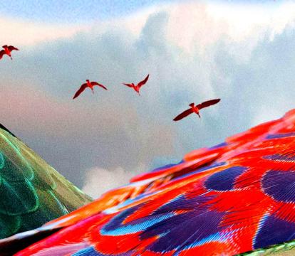 Graphic showing the back of a peacock with red and green feathers with five other peacocks flying overhead