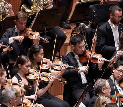 Violin, french horn and clarient players sit in black playing at the Sydney Opera House Concert Hall