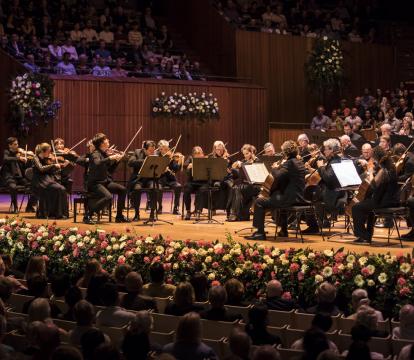 An orchestra performing on stage as viewed from the audience.