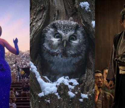 A collage of images: a man with a flashlight, a woman in a blue dress facing a crowd, a snowy owl in a tree, a samurai, and a nun in a rice field.