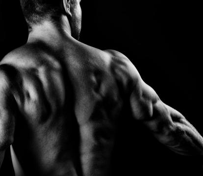 A shredded man showing back muscles.