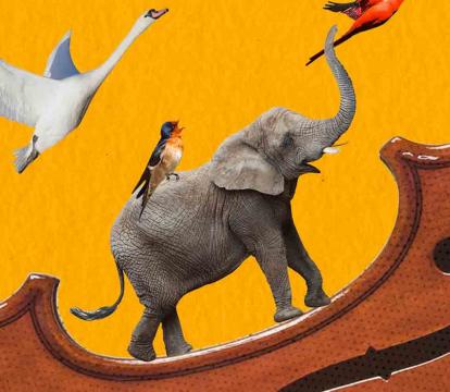 An assortment of animals including an Elephant, Kangaroo, Chicken, and Goose climb up the side of a violin.