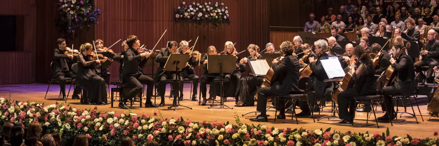 An orchestra performing on stage as viewed from the audience.