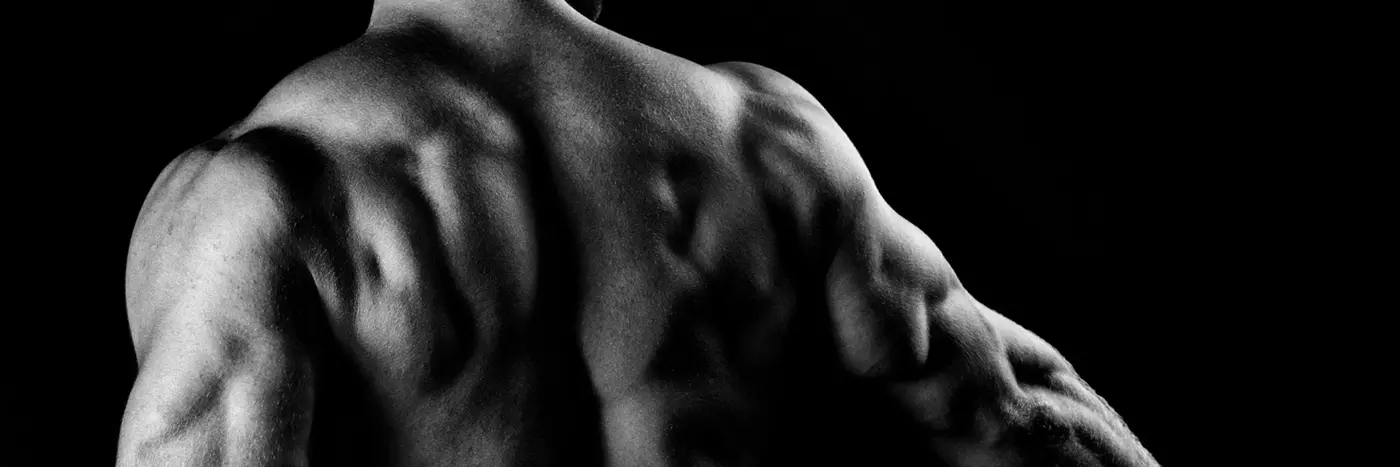 A shredded man showing back muscles.